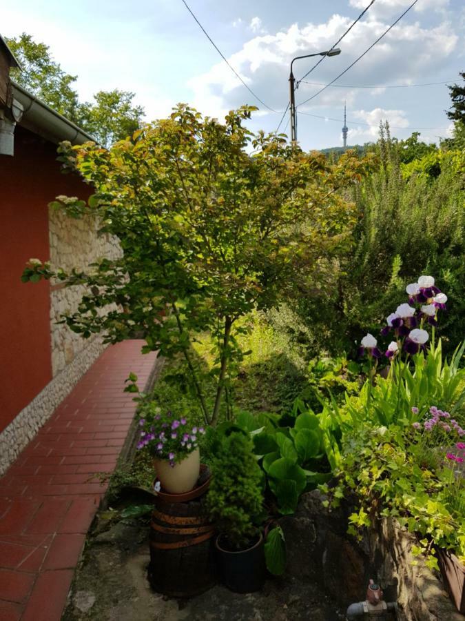 Mediterran Apartman Pecs Exterior photo